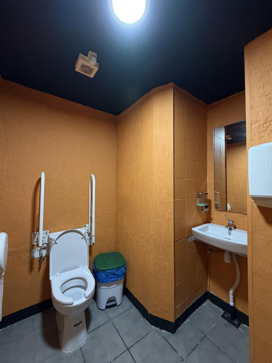 Baño adaptado con lavabo y barras de apoyo